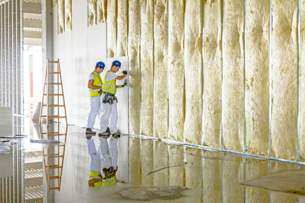 Best Attic Insulation Installation  in Florida, NY